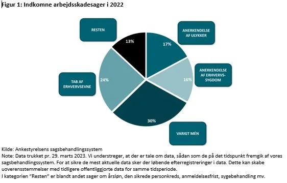 Indkomne arbejdsskadesager i 2022 fordelt på 24  %  på tab af erhvervsevne, 30 % på varigt mén, 16 % på anerkendelse af erhvervssygdomme, 17 % på anerkendelse af ulykker og 13 % på resten.